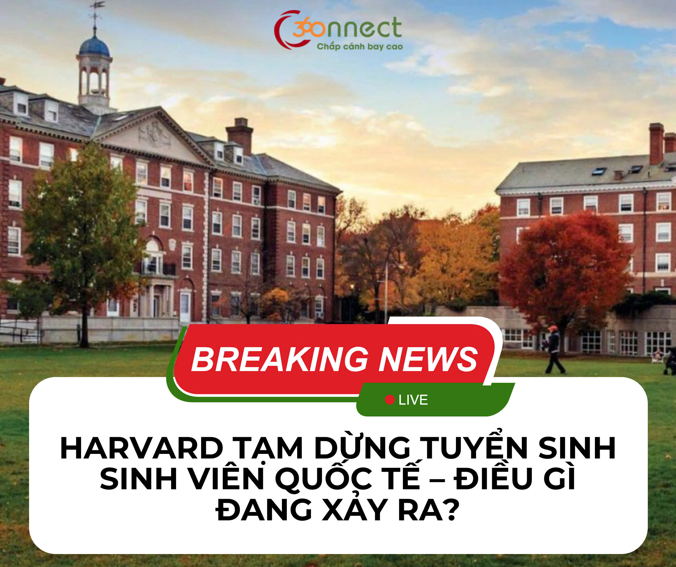 HARVARD TẠM DỪNG TUYỂN SINH VIÊN QUỐC TẾ