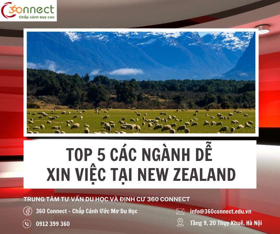 Du Học New Zealand Nên Học Gì Để Dễ Xin Việc?